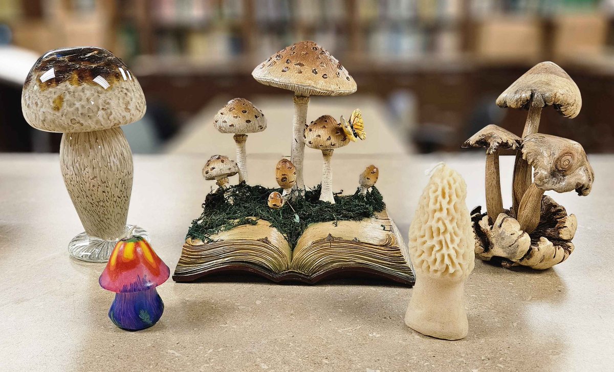 Rabern Simmons, PhD π¬π§π (@drrabern) on Twitter photo The most #mushroom memorabilia west of the Wabash!
Visit the <a href="/PurdueBPP/">Purdue BPP</a> #Herbaria on April 12.
Plus petting zoos, plant sales, Bug Bowl, and more!
purdue.ag/springfest for details!
<a href="/PurdueAg/">Purdue Agriculture</a> The most #mushroom memorabilia west of the Wabash!
Visit the <a href="/PurdueBPP/">Purdue BPP</a> #Herbaria on April 12.
Plus petting zoos, plant sales, Bug Bowl, and more!
purdue.ag/springfest for details!
<a href="/PurdueAg/">Purdue Agriculture</a>