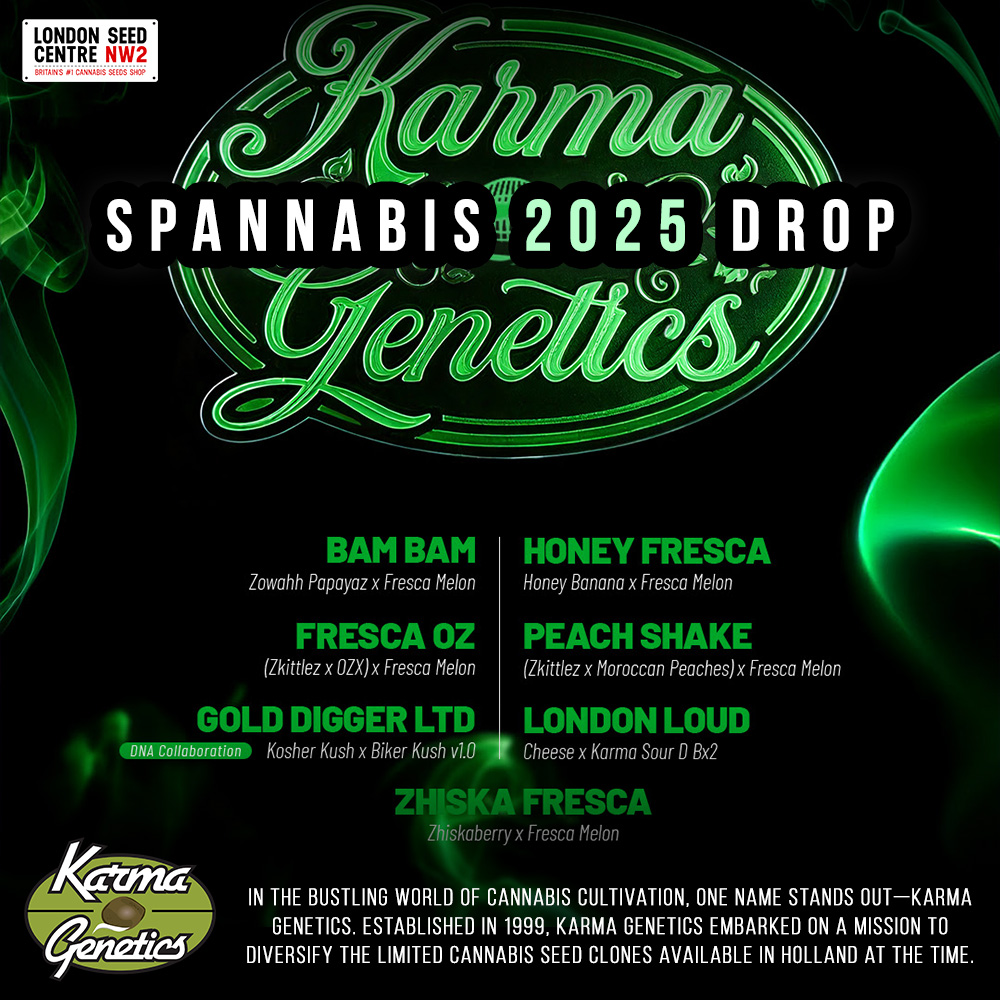 SeedCentre's tweet photo. New strains from Karma Genetics 🌱🧬
https://t.co/WJ91SgJq77
#londonseedcentre #weedstagram #karmagenetics #cannabiscommunity️ https://t.co/ujzMECFWuF