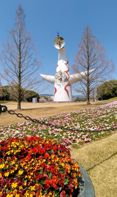 万博記念公園までサイクリング平日でも花の周りは人がいっぱいでした