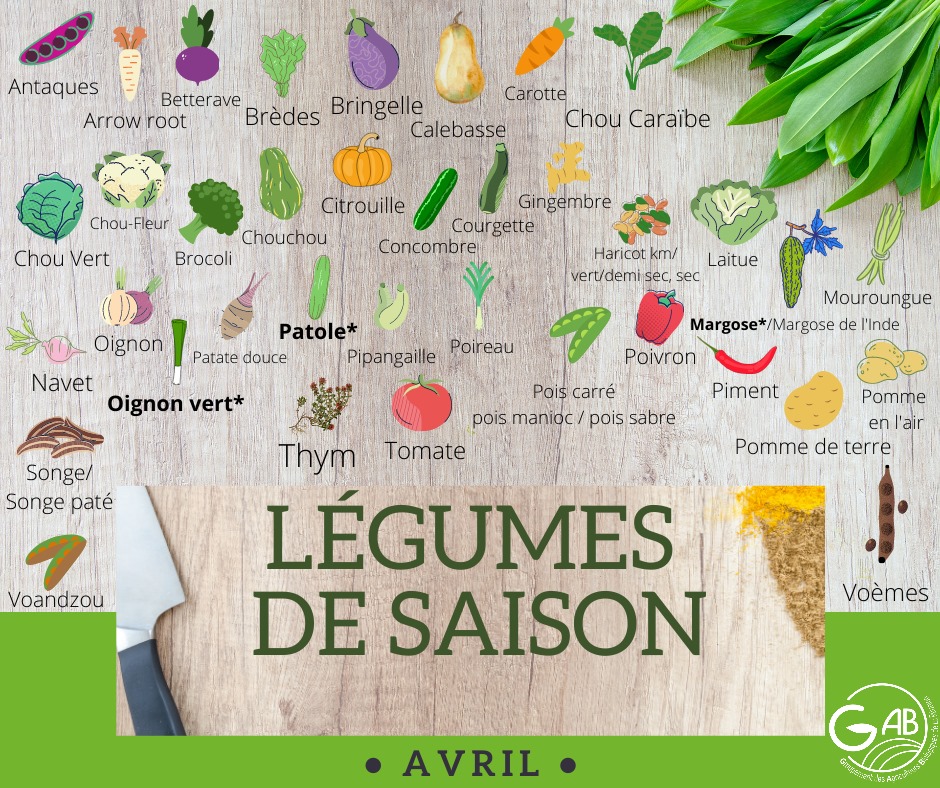 OasisReunionBio tweet media