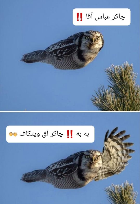 DCCCIX_'s tweet photo. ولی قبله امام #جواد ظریف حیف شدا، خیلی چامینگ بود ...
#CharmingBoy
@JZarif https://t.co/xbtZ64jByX
