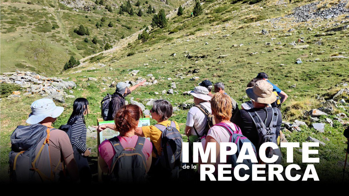 ICAC_cat's tweet photo. #ICAC_Comunica

🔊 Excel•lent en impacte social

Per segon cop l'institut obté un excel•lent (A) en l'avaluació de la narrativa d'impacte social que promou amb encert el @iCERCA. https://t.co/5EF5WXibIS