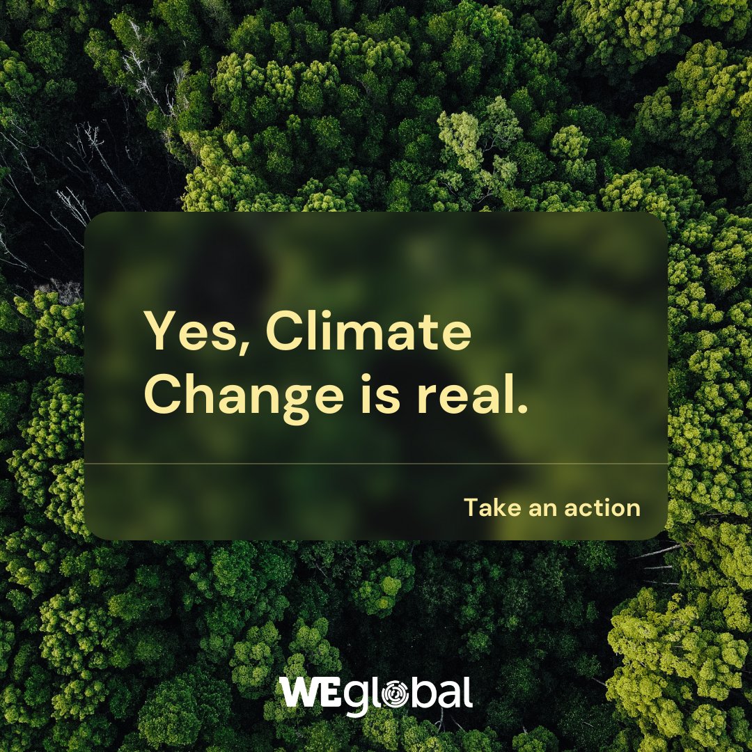 WEglobal tweet media