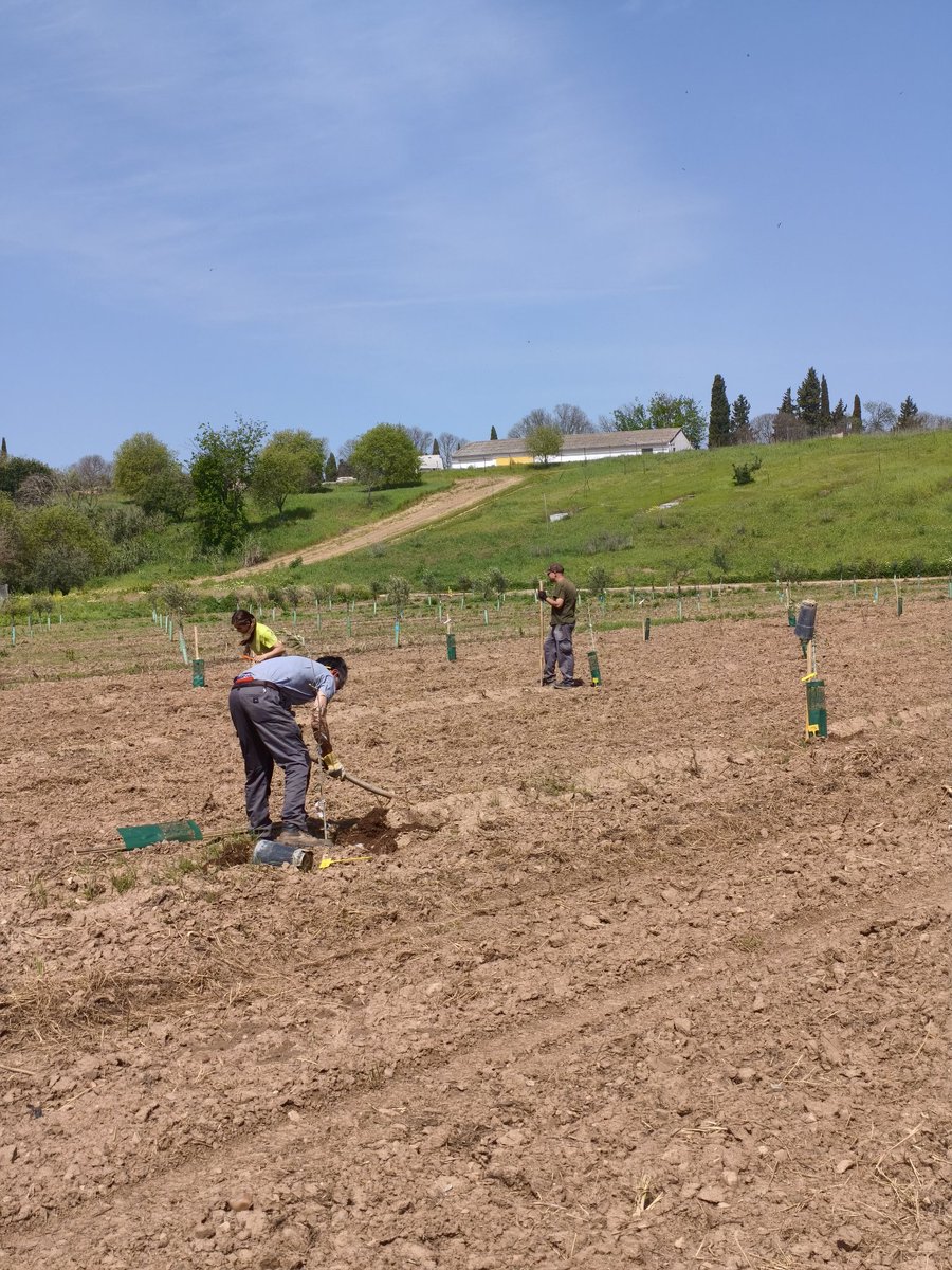 Fco Jesús Gómez tweet media