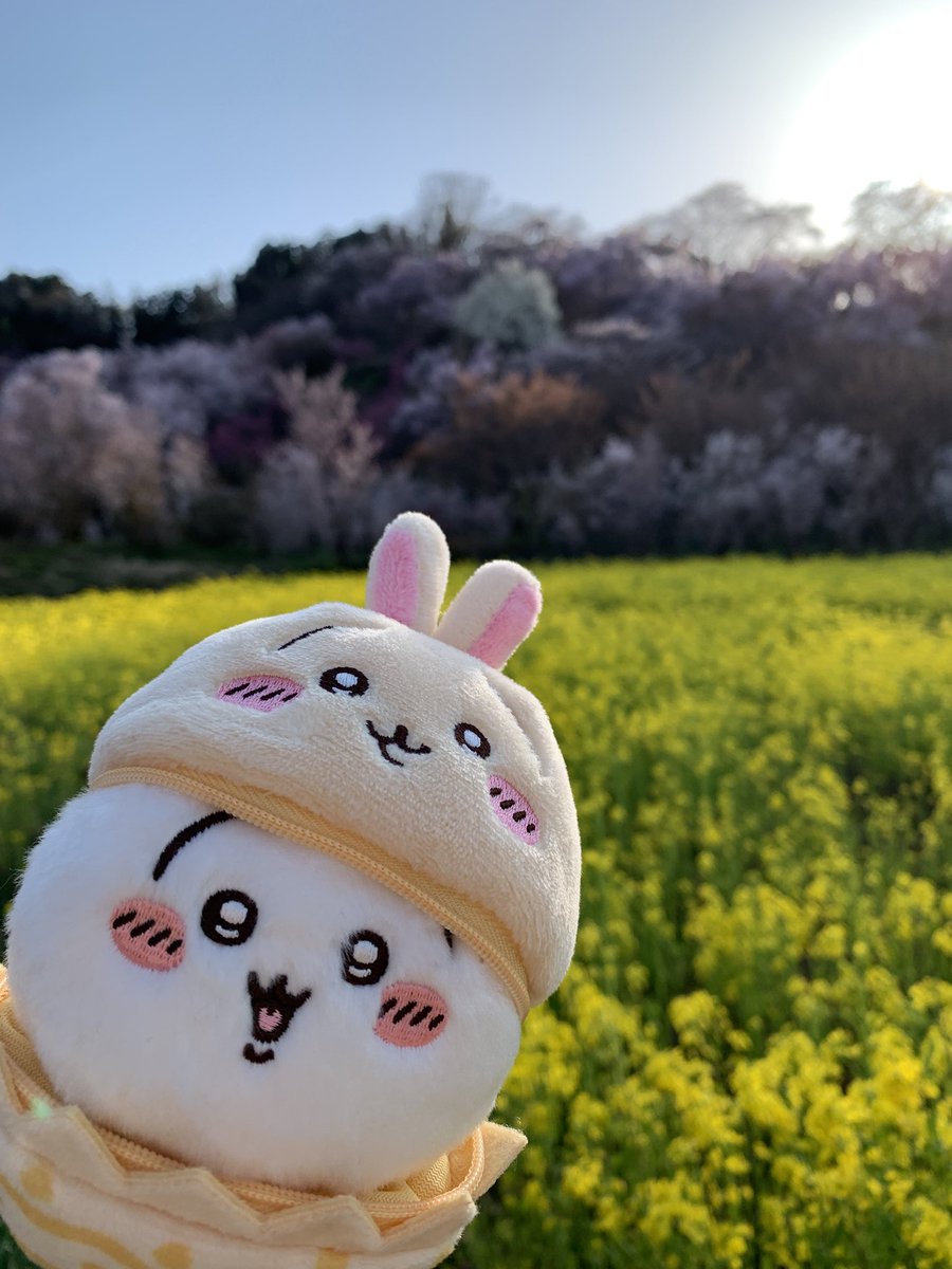 ここはどこ？🌼🌸
天気も良いし、風も涼しいし(個人的な🤣)、桜や菜の花、ボケなど凄く綺麗だった〜〜
今回時間足りないから、今度ゆっくりしてほしい☺️✨