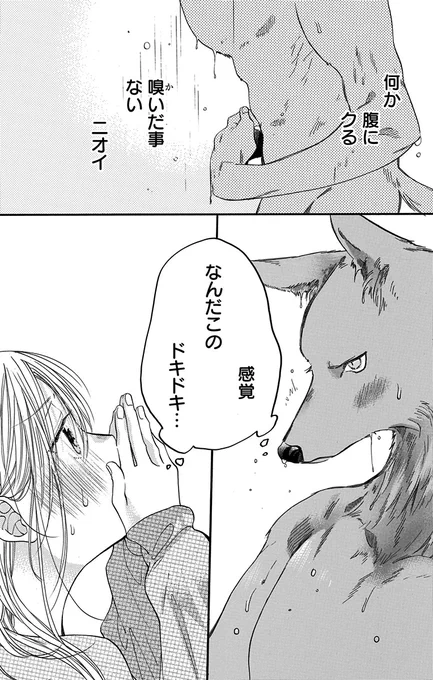 (11/11) 