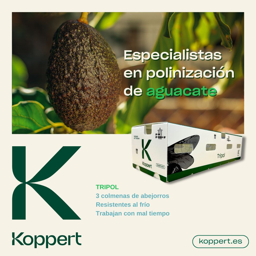 KOPPERT_ES's tweet photo. 💪🐝 Eleva el rendimiento de tus cultivos de #aguacate con nuestra colmena Tripol.
Nuestros abejorros tienen una capacidad de transporte de polen superior, promoviendo una polinización fuerte.👇
https://t.co/vI743CfPep
#polinización #koppert #tripol https://t.co/m9C6aIhlMq