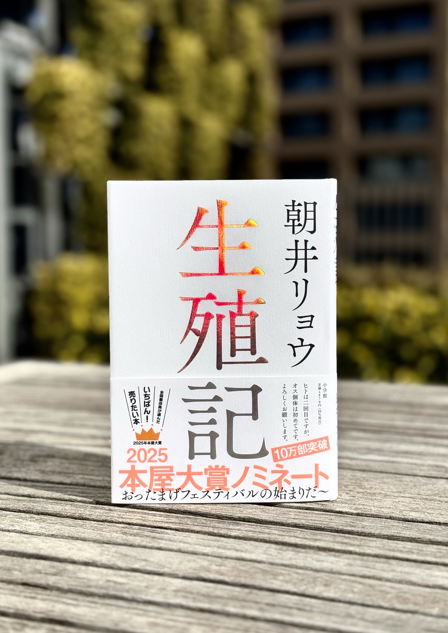 禁忌の子 生殖記　カフネ　人魚が逃げた　恋とか愛とかやさしさなら　本屋大賞 禁忌の子 生殖記 カフネ 人魚が逃げた 恋とか愛とかやさしさなら
