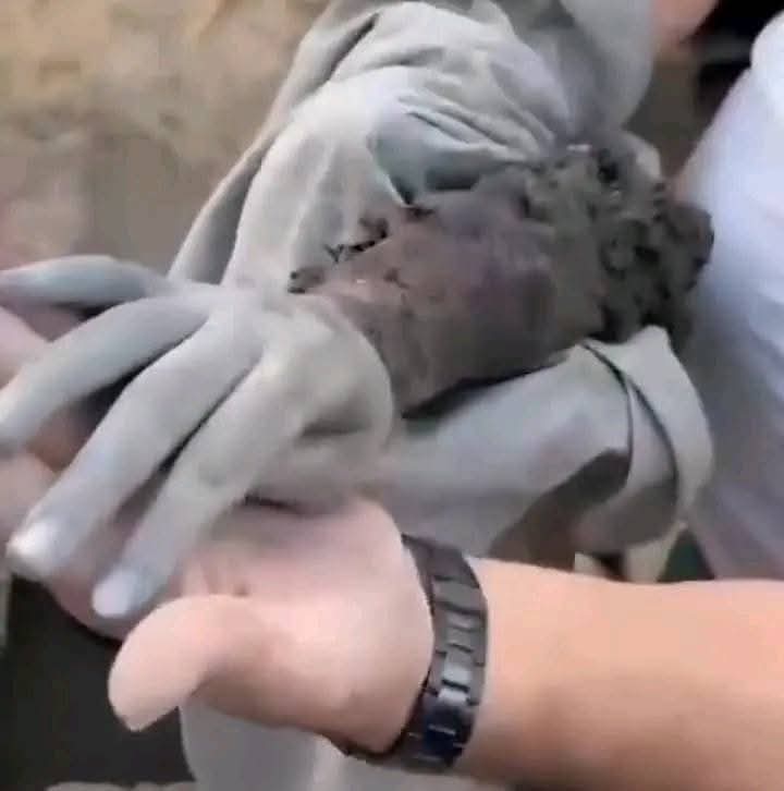 E_M_AA_N's tweet photo. Whoever is SILENT nd have ability to STOP this, is guilty...

SILENCE IS COMPLICITY  !

#Gaza
#GazaGenocide 
#GazaHolocaust 
#IsraelTerroristState 
#غزة_تحت_القصف 
#غزة_تُباد 
#السودان_ينتصر 
#فلسطين 
#النصر_الهلال 
#GazaisDying https://t.co/kt1TMFpbyK
