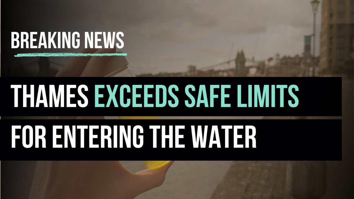 🚨 BREAKING NEWS! 🚨

❌☔ Despite barely a drop of rain in the past 3 weeks, the stretch of River Thames to be used for this weekend's Boat Race fails to meet even the lowest legal bathing standards.

This isn’t a sewage overflow issue — it’s a systemic failure by Thames Water.