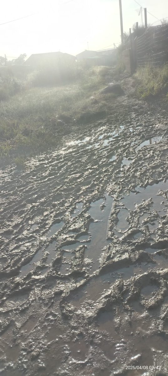 Mmusetsi's tweet photo. This is a road that school children use to go school. It's in Tshepiso Phase 1(Sharpeville) this road has been like this for years and every year it becomes worse. If it's not the rain, is the frequent bursting of the suage pipe. https://t.co/xo6WsLiY62