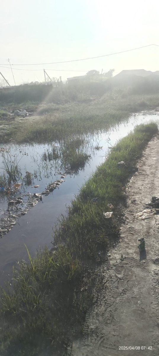 Mmusetsi's tweet photo. This is a road that school children use to go school. It's in Tshepiso Phase 1(Sharpeville) this road has been like this for years and every year it becomes worse. If it's not the rain, is the frequent bursting of the suage pipe. https://t.co/xo6WsLiY62