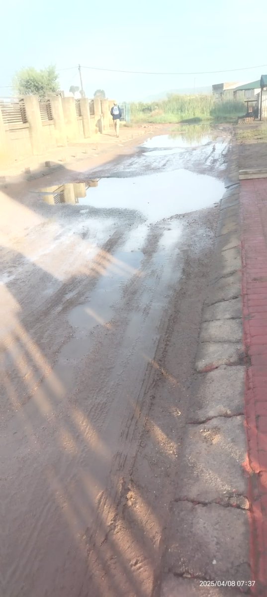 Mmusetsi's tweet photo. This is a road that school children use to go school. It's in Tshepiso Phase 1(Sharpeville) this road has been like this for years and every year it becomes worse. If it's not the rain, is the frequent bursting of the suage pipe. https://t.co/xo6WsLiY62