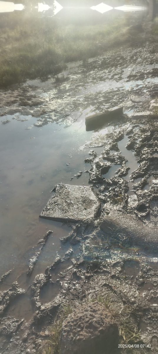 Mmusetsi's tweet photo. This is a road that school children use to go school. It's in Tshepiso Phase 1(Sharpeville) this road has been like this for years and every year it becomes worse. If it's not the rain, is the frequent bursting of the suage pipe. https://t.co/xo6WsLiY62