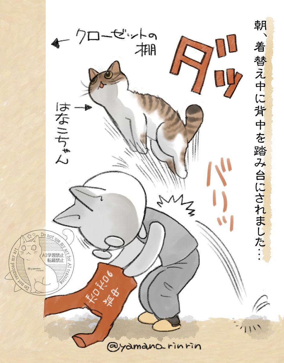 #今日の山野絵
ちなみにこんな感じでした…イタイ
海きゅんにも
しょっちゅう飛び乗られているので
もう背中ボロボロ🫠 