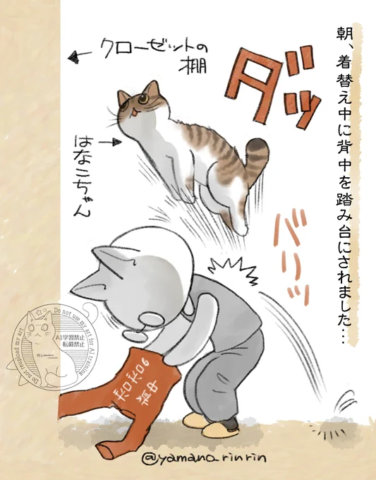 #今日の山野絵
ちなみにこんな感じでした…イタイ
海きゅんにも
しょっちゅう飛び乗られているので
もう背中ボロボロ🫠 