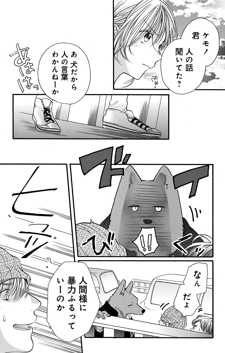 (6/11) 