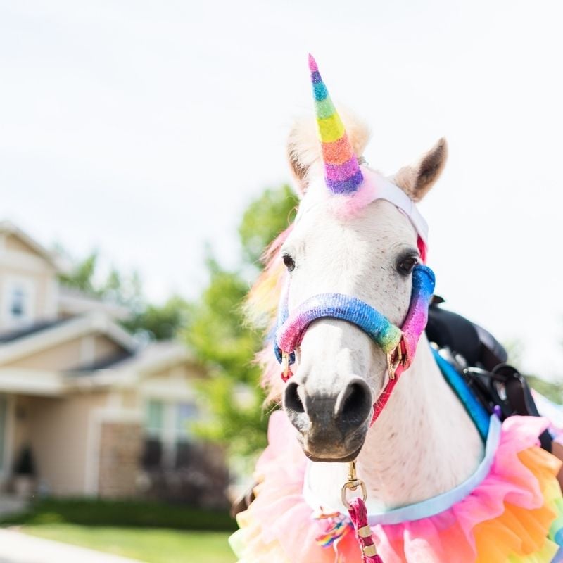 So apparently today is National Unicorn Day. A day to celebrate the mythical creature and its association with purity, enchantment and wonder (according to google).

What national days are you a fan of? 

#NationalUnicornDay #Trending
