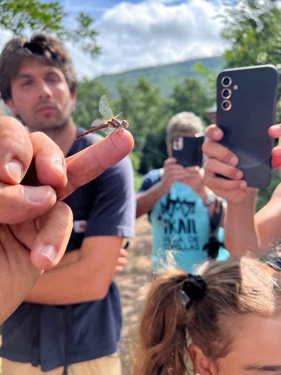 cantabriaes's tweet photo. La flora primaveral de #Caloca y los anfibios nocturnos de la Senda del Nansa protagonistas este mes de abril de los #Safaris organizados por @culturacan a través de la Fundación #CaminoLebaniego
👉https://t.co/9NhwLuqKrv https://t.co/HYMry8nPbX