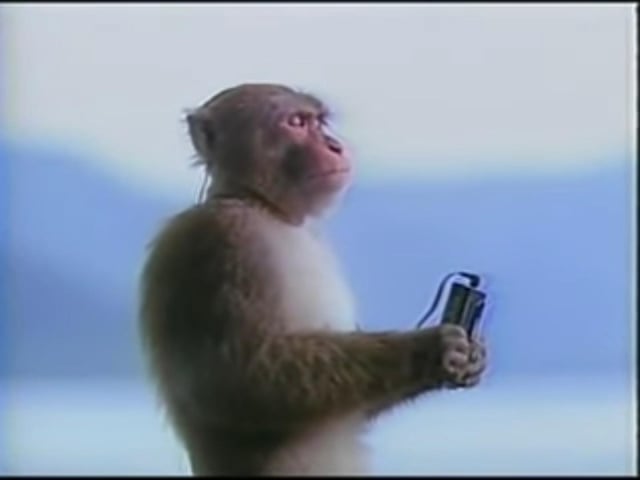 UnEarthlySS's tweet photo. @lukenzoggx @buzhidao5_5 https://t.co/9xL6aOMR25