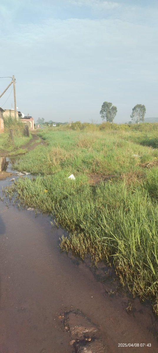 Mmusetsi's tweet photo. We need assistance because the children and the people staying near this road are not safe and most times the smell is very bad and they have to pass there everyday.
@Lesufi @EmfuleniLM @HealthZA @DBE_SA https://t.co/tTnFodBWXF