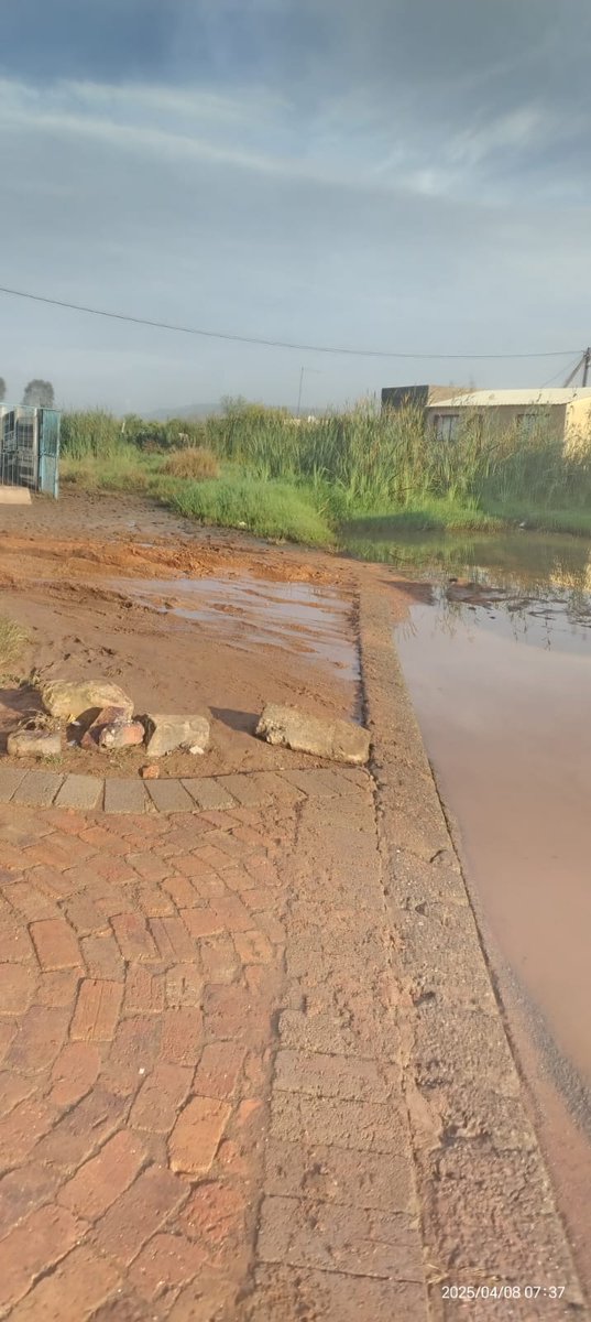 Mmusetsi's tweet photo. We need assistance because the children and the people staying near this road are not safe and most times the smell is very bad and they have to pass there everyday.
@Lesufi @EmfuleniLM @HealthZA @DBE_SA https://t.co/tTnFodBWXF