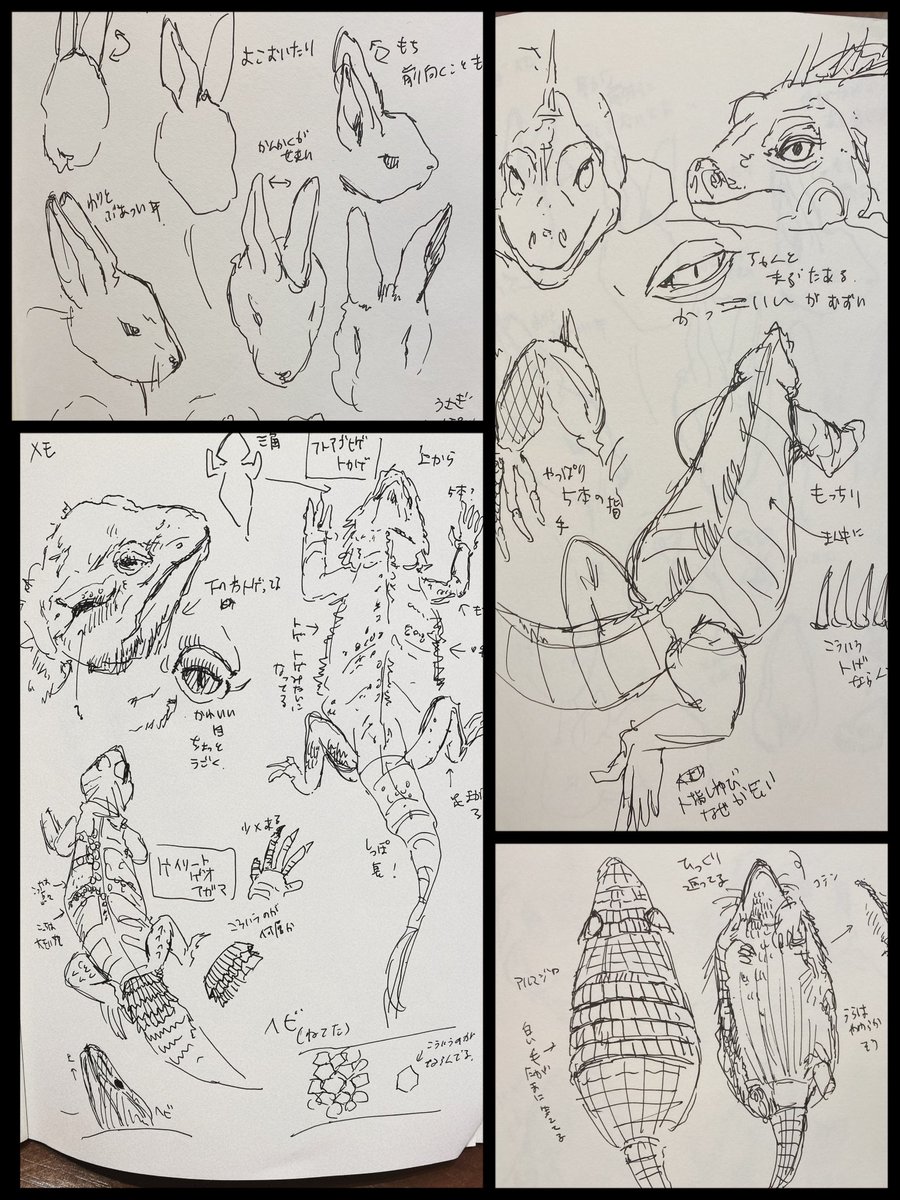 動物メモ落書き📝 