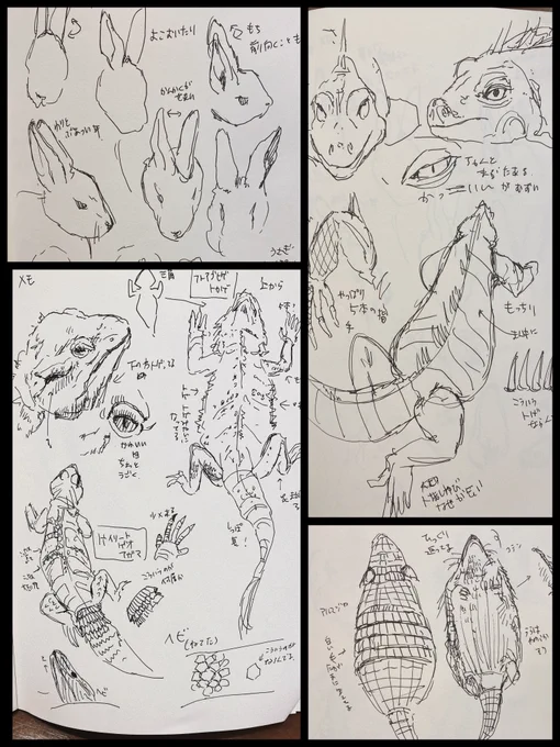 動物メモ落書き📝 
