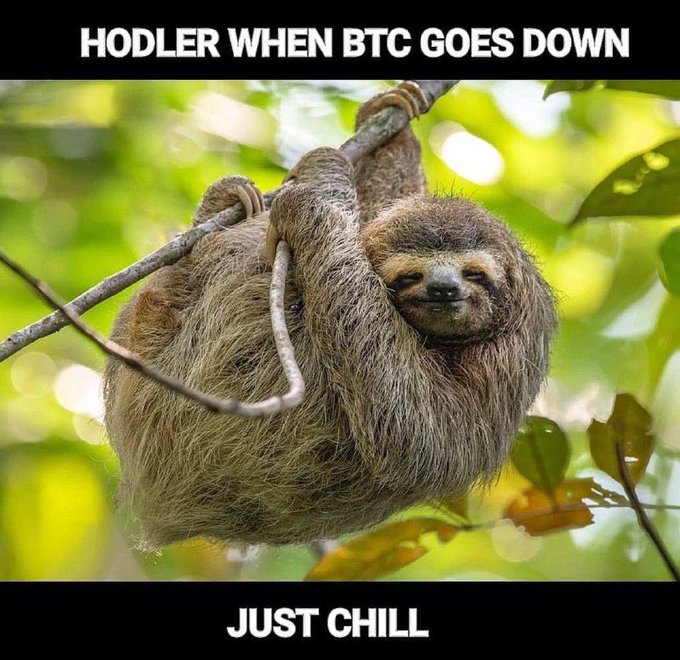 Mr_Meme_Machine's tweet photo. Just chill... #WhenInDoubtZoomOut #BTC #Bitcoin https://t.co/ujAqbUZqI0
