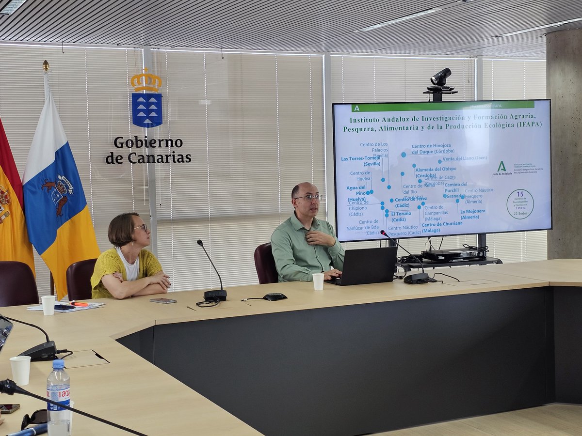 ITCCANARIAS's tweet photo. 🍍🔬El Grupo Operativo formado por ITC, ICIA, ULL, ULPGC y COPLACA presenta los resultados de #GOTRAZCAN que identifica los parámetros de calidad y trazabilidad geográfica de la piña tropical canaria para poner en valor el producto agrícola local
🔗https://t.co/1mmM9L30bD
#FEADER https://t.co/pnNU3LQQnv