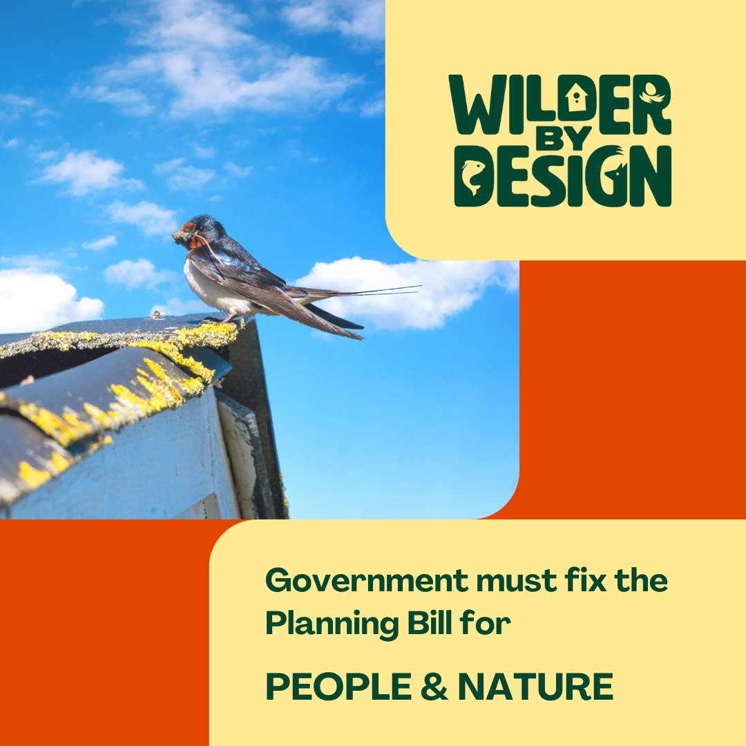 WildlifeTrusts's tweet photo. The Planning Bill is not the win-win for nature &amp; building we were promised 🚨 
 
If the Bill proceeds unchanged, it will break new ground in the destruction of nature across England 🥀 
 
Read more and the full letter to @SteveReedMP👇  
 https://t.co/Ix96O4Cppg https://t.co/AXq0ANI7hT