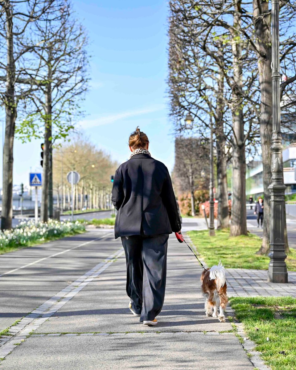 villedesuresnes's tweet photo. C'est le printemps à Suresnes 🌷 Venez profiter des espaces verts de la Ville pour contempler les massifs fleuris et apprécier la douceur printanière. ☀

Un grand merci à nos jardiniers pour leur magnifique travail 🌻 https://t.co/p8JPl9j5mQ