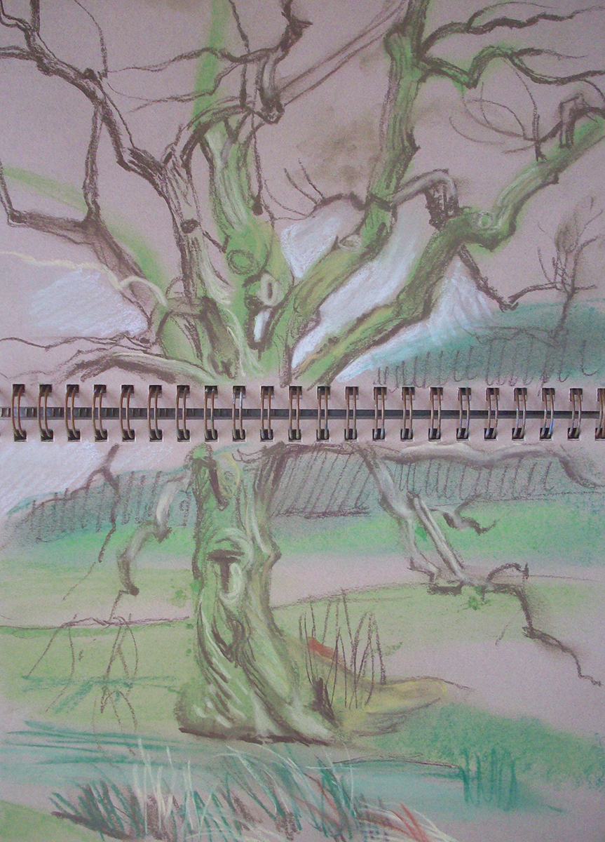 KateWhapham's tweet photo. Ash tree sketching by the river Onny #Shropshire #ashtree #sketching #art #spring #drawing https://t.co/CKORxhMhD1