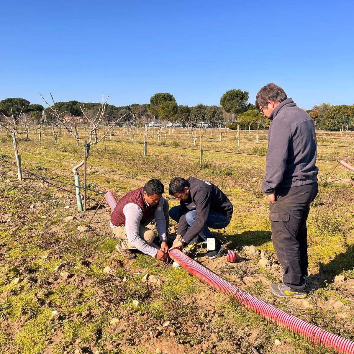 plantae_agro's tweet photo. Cuando pensamos en agricultura en España, muchas personas piensan en el sur, algunos incluso lo ligan con las zonas de la “España vaciada”.

Al lado de la capital también hay agricultores que se preocupan por su cultivo y saben que tener datos del estado del suelo es crucial https://t.co/DZVic6vs2R