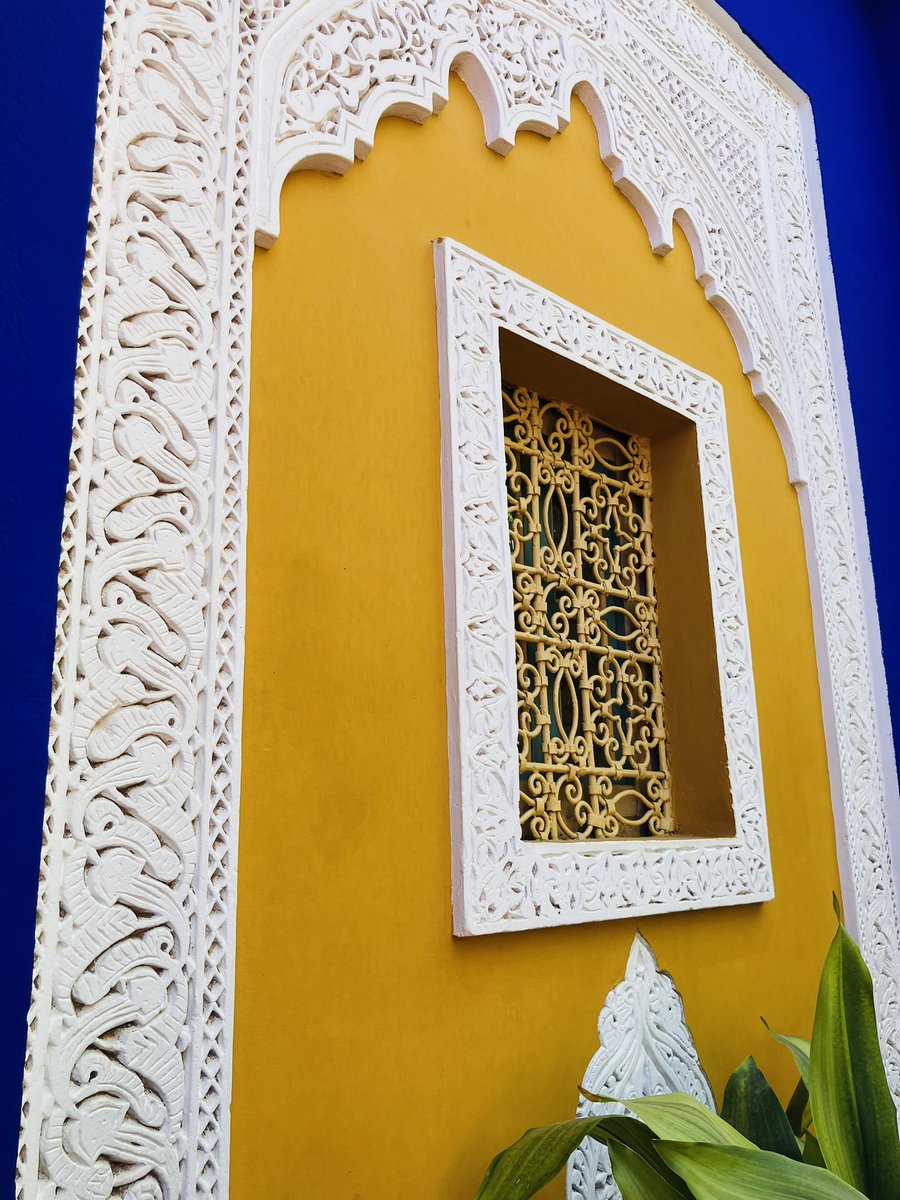 Maxine is now at maxinefrances.bsky.social tweet media