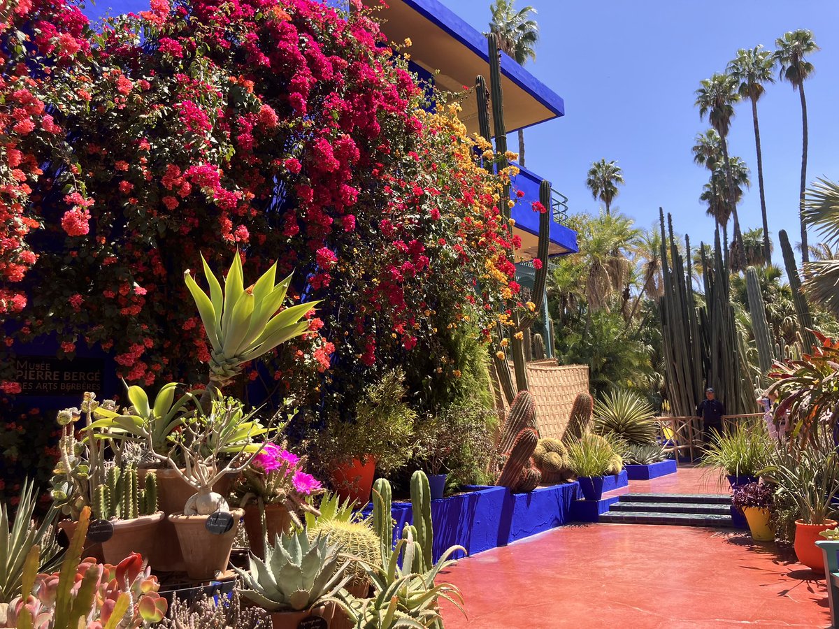 Maxine is now at maxinefrances.bsky.social tweet media