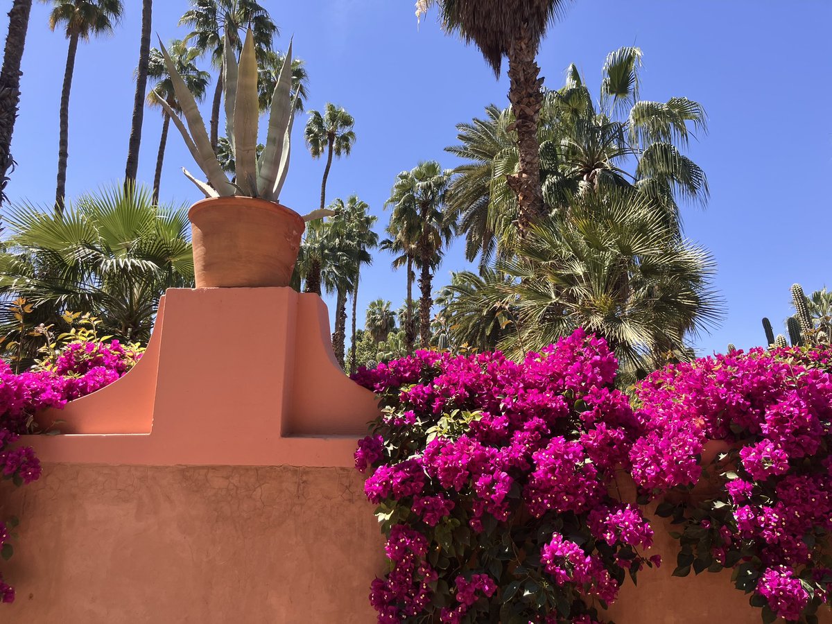 Maxine is now at maxinefrances.bsky.social tweet media