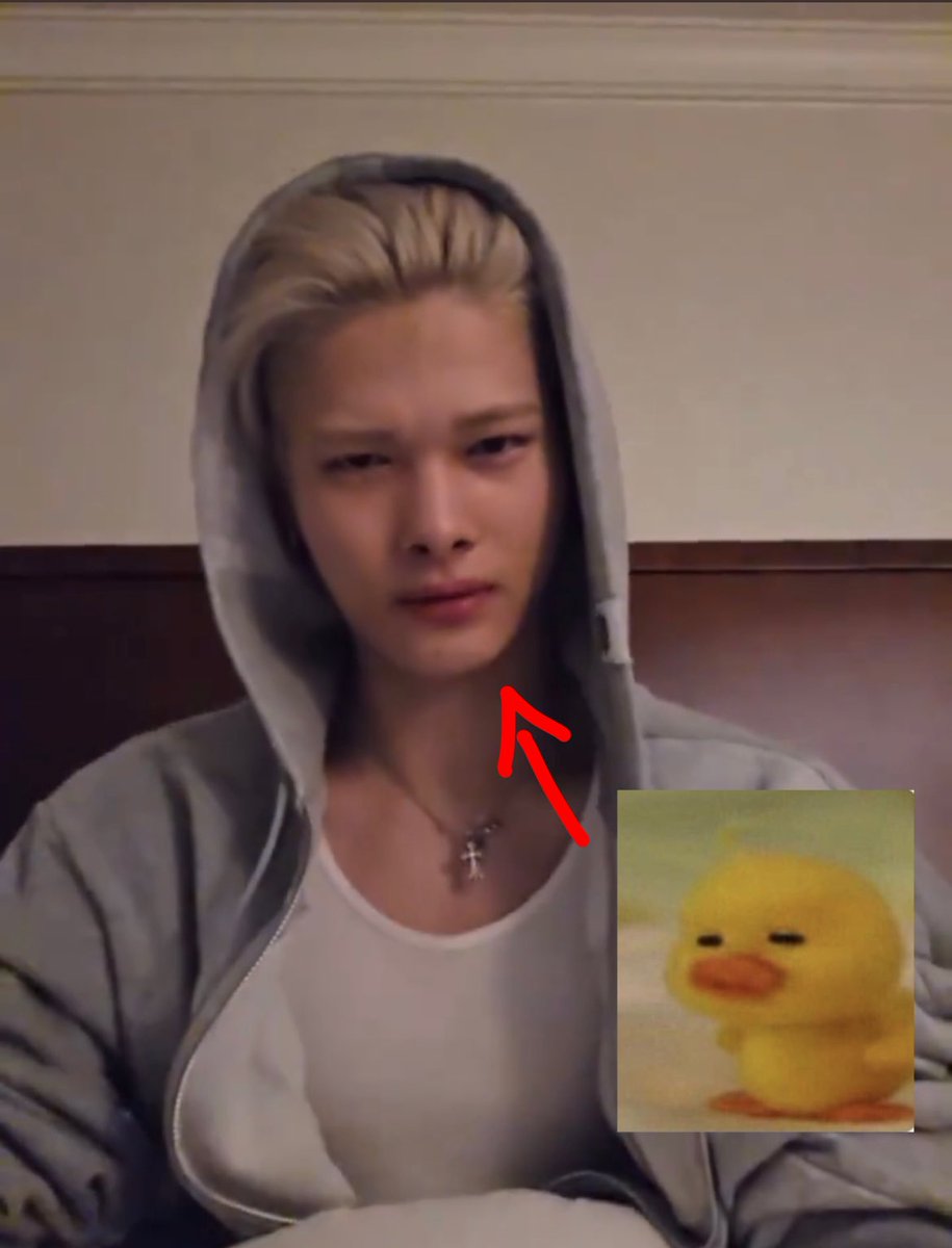 catwon (@wonkitcat) on Twitter photo 