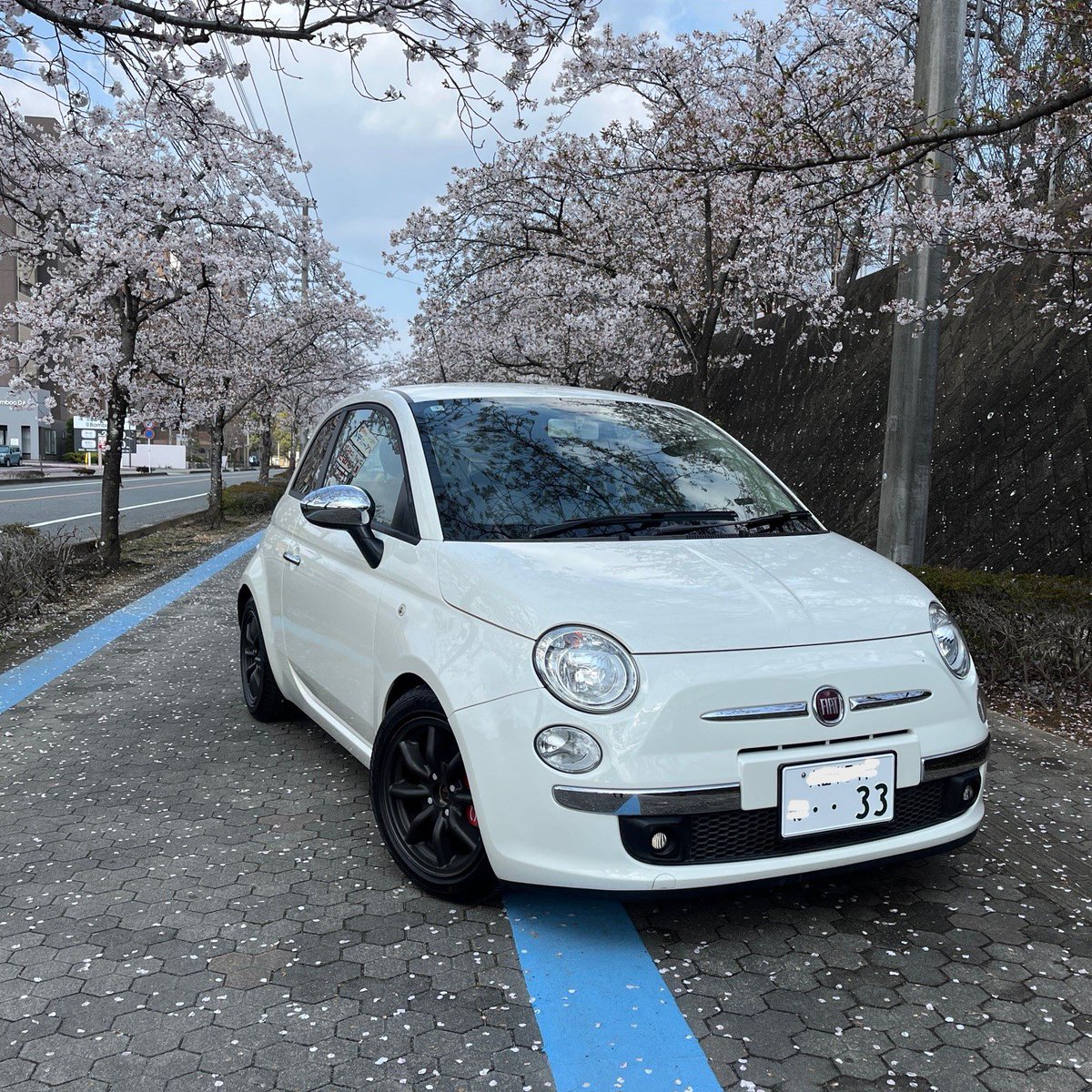 MorlyRamone's tweet photo. 出会いと別れの春。
14年目を迎えたチンクともいよいよお別れの時が近づいてきた。
もうすぐ散りゆく桜と去り行く相棒の組み合わせがなんとも切ないね。
風が蹴散らす 永い花道を
桜吹雪が舞い踊る
まるで何かを祝うかのように
桜吹雪が舞い踊る
ラーラララララ
ラーラララララ
#fiat500
#sakura https://t.co/QzyudxkyXr