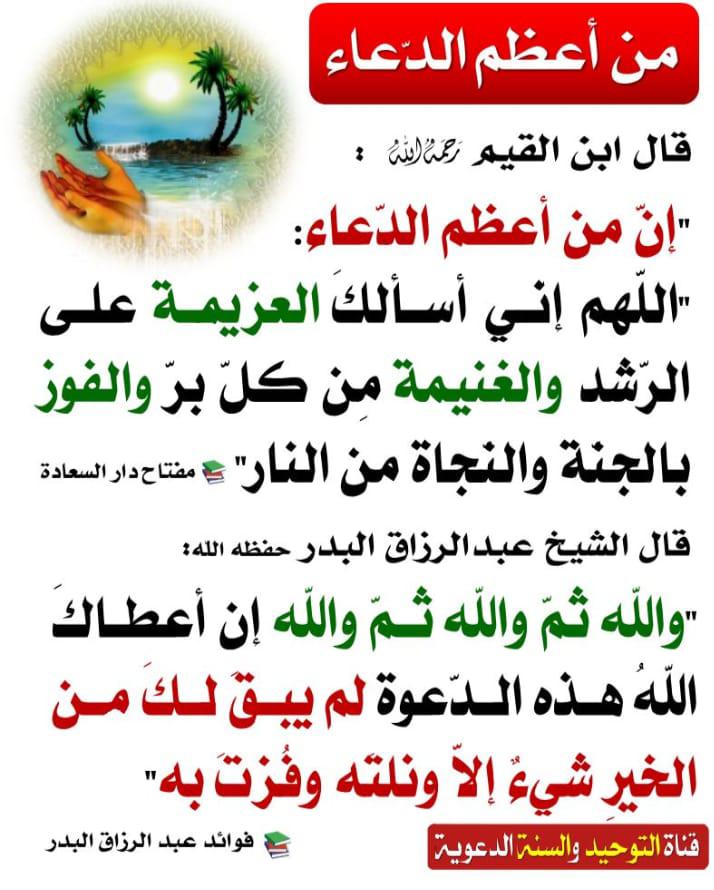 محمد بن يحيى عجيبي tweet media