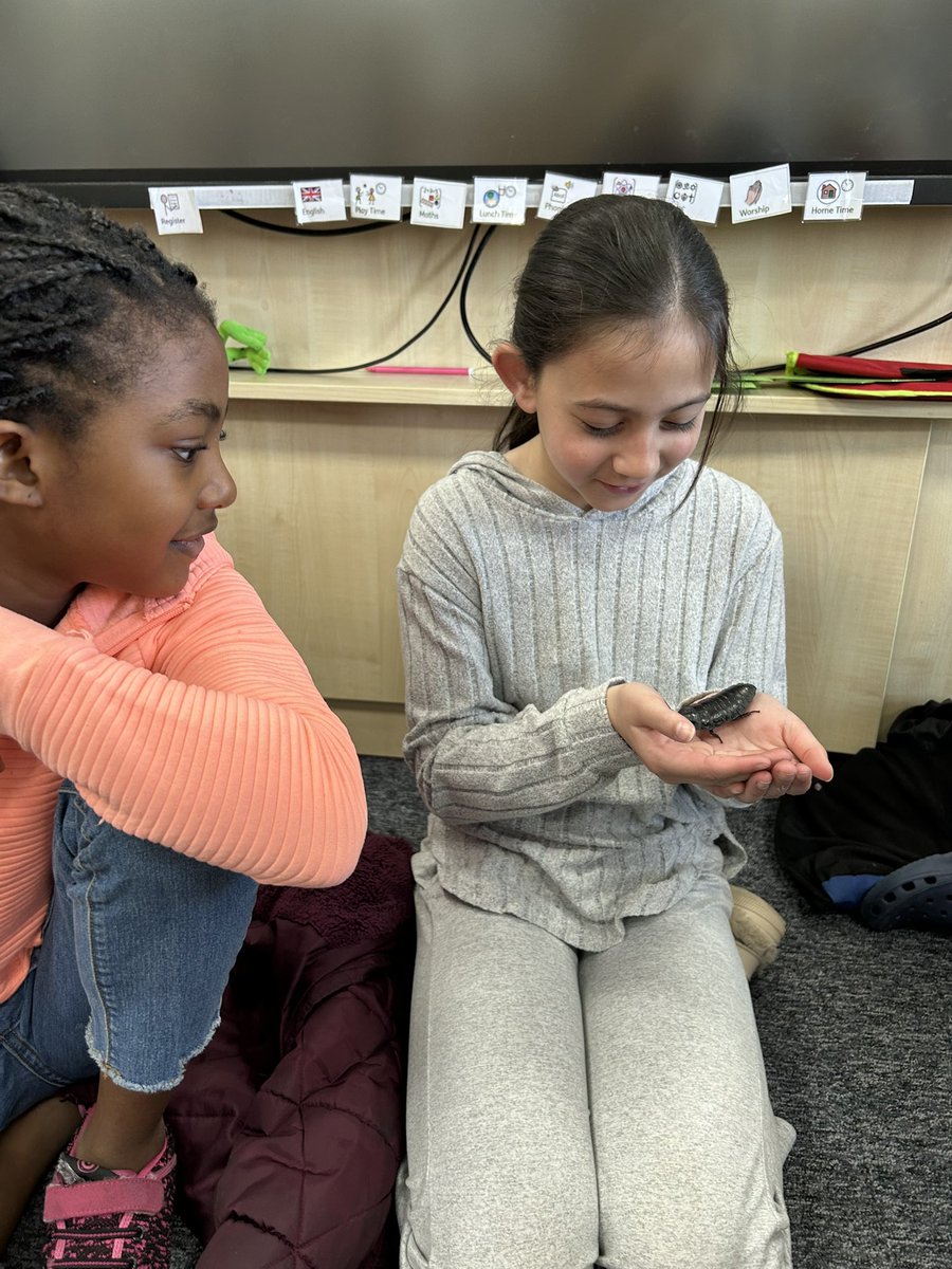 WestminsterBD3's tweet photo. We’ve had another fantastic HAF holiday club! Children enjoyed sports, crafts, baking, bowling, learning about animals and reptiles and an Easter Egg hunt! #HAF2025 @bradfordmdc @educationgovuk @WeAreBDAT @ZooLabUK https://t.co/omRbhUHzPp