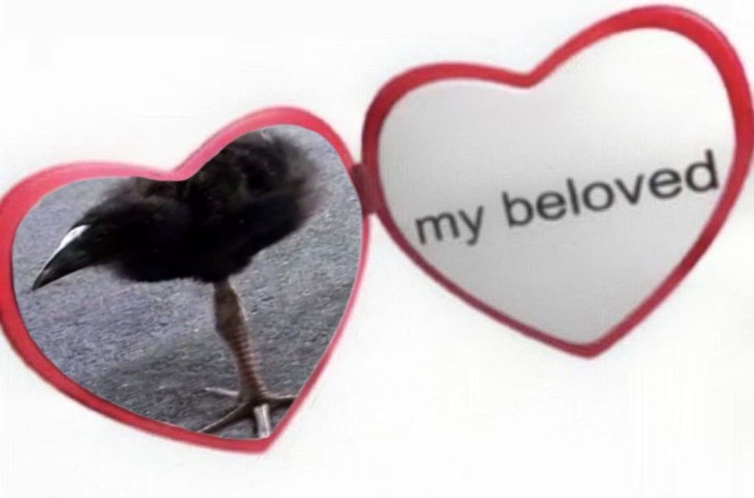 miu pukeko tweet media