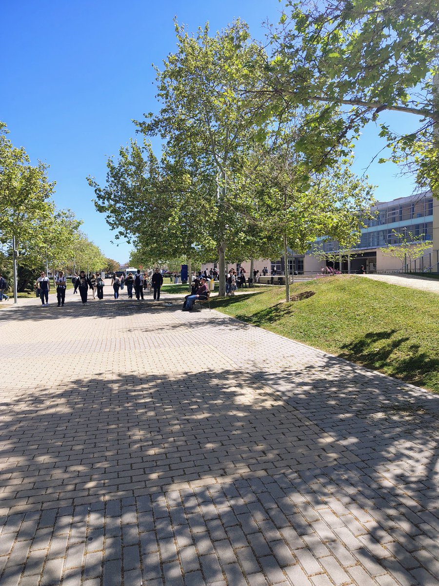 @NAM (@nam_arquitectas) on Twitter photo La primavera en la <a href="/UA_Universidad/">Universidad de Alicante UA</a>
<a href="/EPSAlicante/">EPS Alicante</a>
#universidad #campus #ua #Alicante La primavera en la <a href="/UA_Universidad/">Universidad de Alicante UA</a>
<a href="/EPSAlicante/">EPS Alicante</a>
#universidad #campus #ua #Alicante