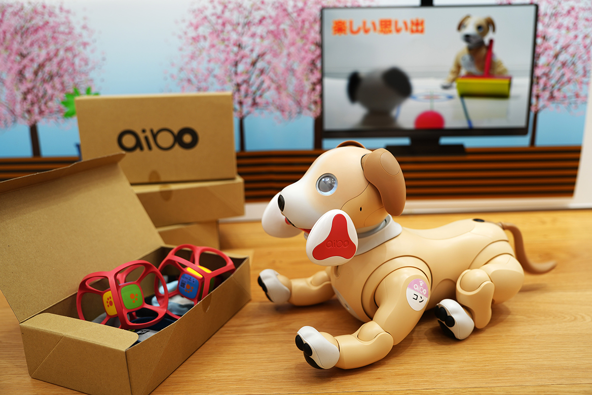 aibo (@aibo_jp) / X aibo (@aibo_jp) / X