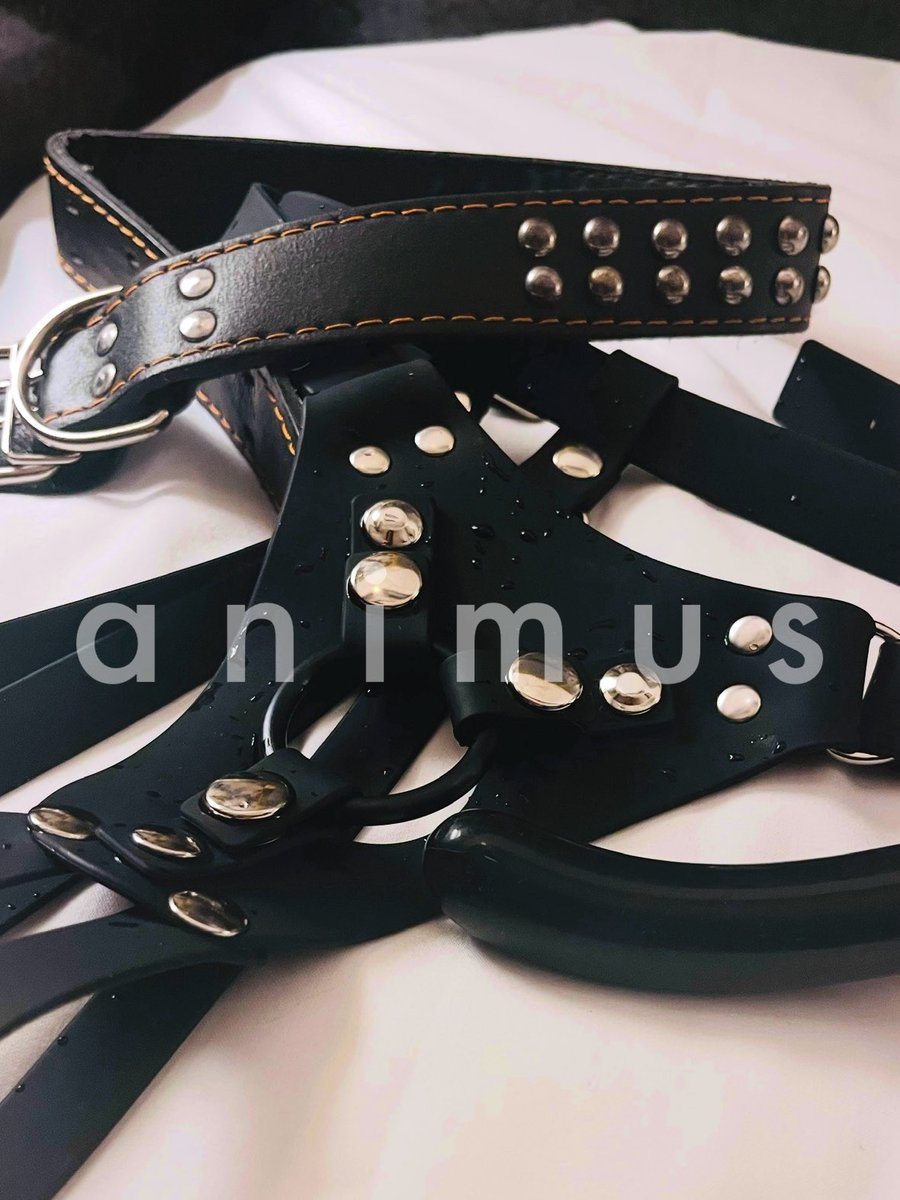 animus0305's tweet photo. 性別関係なくとろけていく表情を見るのが好き。
それは甘くて、少しだけ背徳的な私の愉しみ。
ペニスバンドは私の欲望を叶えてくれる。　
#animus #strapon #straponharnesses #fetshism #fetshism #sextoy #mistress #bdsm #lgbt #セクマイ #ペニバン #ペニスバンド https://t.co/QWYKWuR9jU