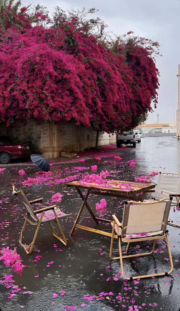 في قانون #الصباح
لا تقرأ ما يزعجك
و لا تسمع ما يعكر مزاجك
و لا تتحدث مع من لا يروق لك

في #الصباح
كن انتقائياً قدر المستطاع لينتعش يومك 🤍
،

،

،

،

،
 
#صباح_الخير
#صباحيات