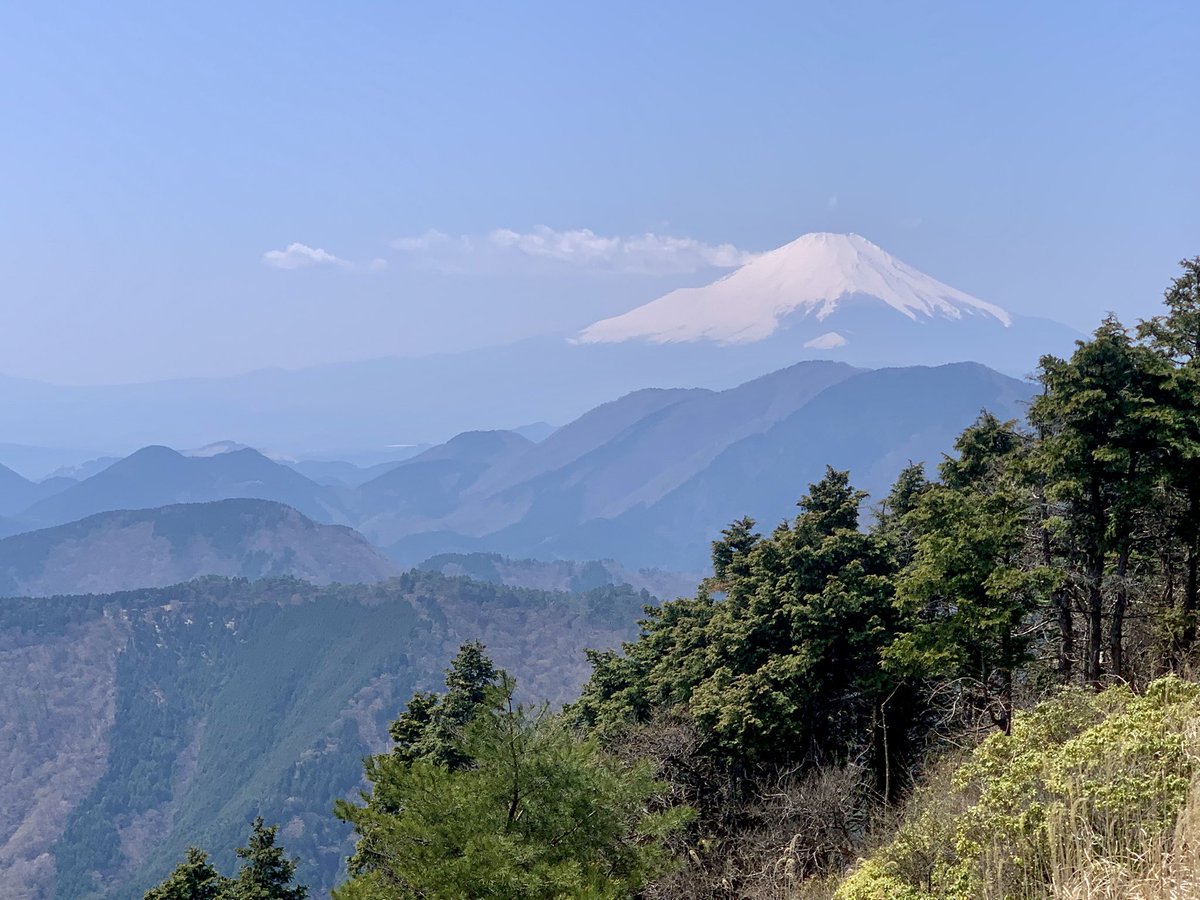 AlleinAdler's tweet image. 2025.4.9 塔ノ岳・表尾根〜大倉尾根
快晴の丹沢をめざしたものの、小田急線が人身事故で大遅延💦
泣く泣くタクシーでヤビツ峠へ向かいましたが、せっかくなので薄墨桜で途中下車🌸
入山が遅れたので終始ハイペースでしたが、芽吹きも始まった春の稜線を楽しく歩きました🍃