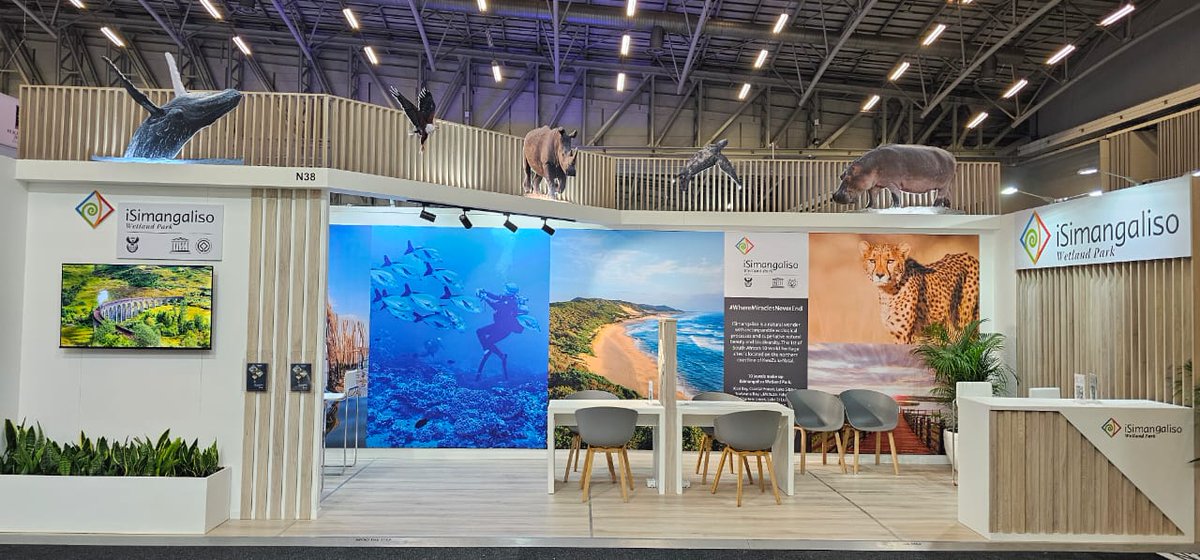 iSimangalisoZA's tweet photo. The day has finally come...!!π·
Don't miss us @WTM_Africa stand N38.
#wtm2025
#WTMAfrica
#visitisimangaliso
#wheremiraclesneverend https://t.co/bB6yVuZoRf