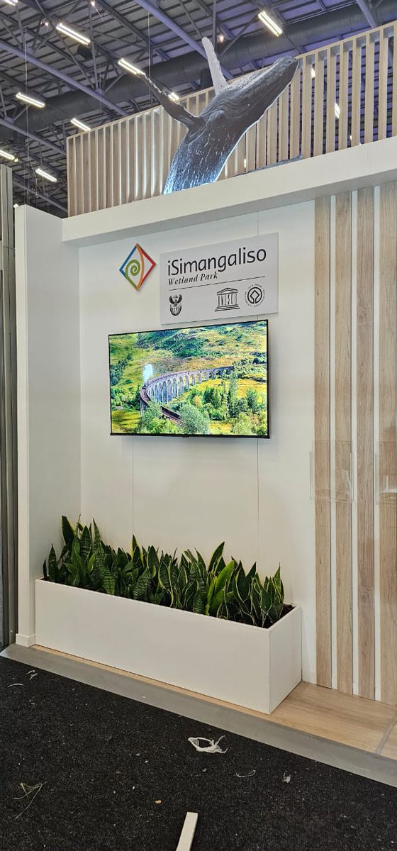 iSimangalisoZA's tweet photo. The day has finally come...!!π·
Don't miss us @WTM_Africa stand N38.
#wtm2025
#WTMAfrica
#visitisimangaliso
#wheremiraclesneverend https://t.co/bB6yVuZoRf