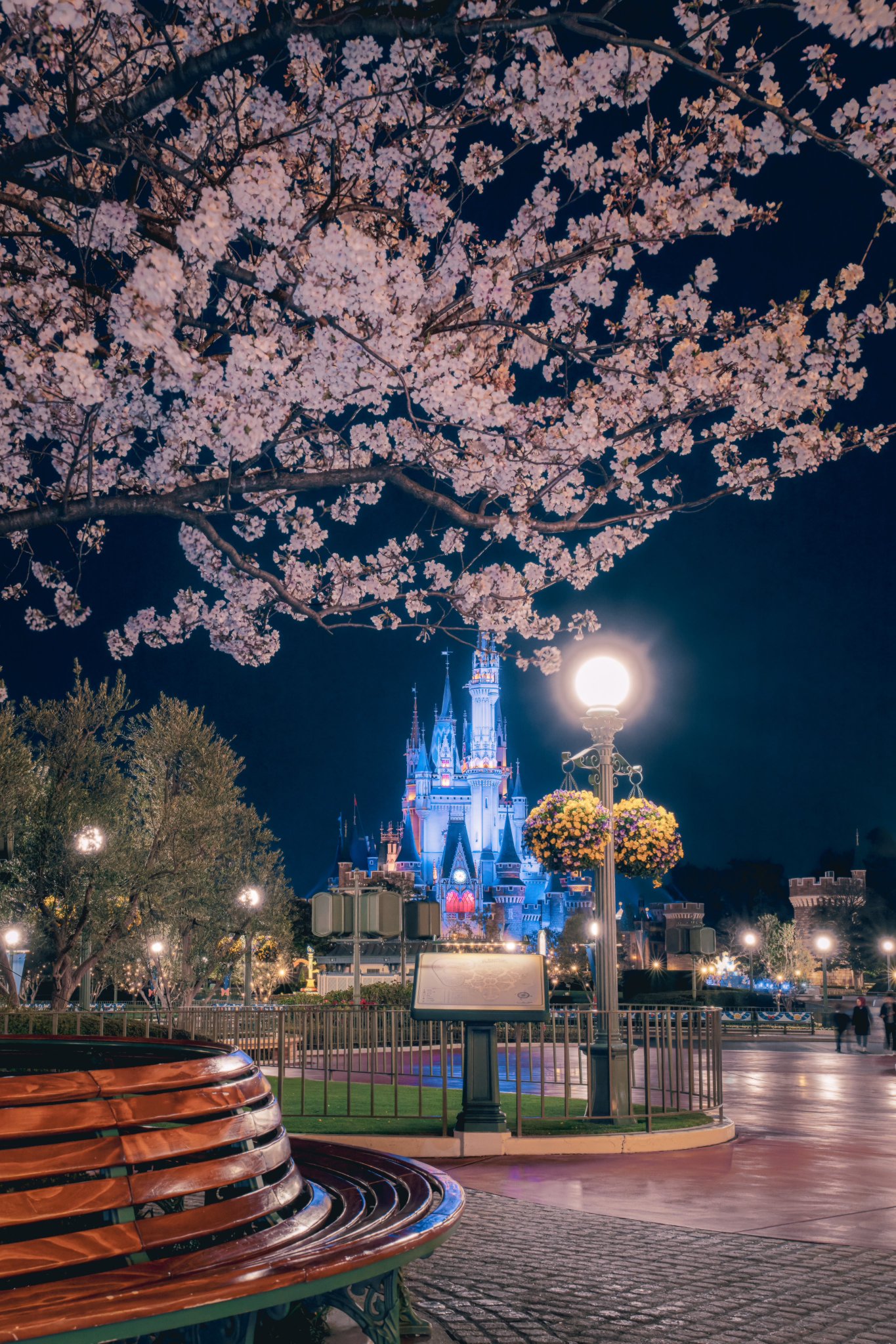 Disney - Kimi 様3点 Kimi ｜Disney Photo on X: 